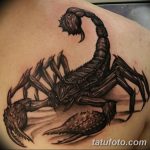 фото тату скорпион от 24.04.2018 №034 - tattoo scorpion - tatufoto.com