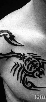 фото тату скорпион от 24.04.2018 №036 — tattoo scorpion — tatufoto.com