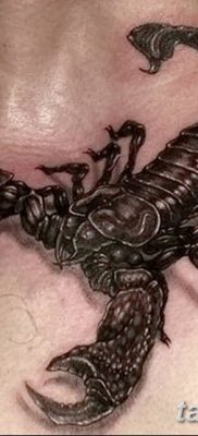фото тату скорпион от 24.04.2018 №037 — tattoo scorpion — tatufoto.com