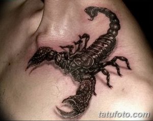фото тату скорпион от 24.04.2018 №037 - tattoo scorpion - tatufoto.com