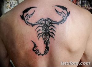 фото тату скорпион от 24.04.2018 №038 - tattoo scorpion - tatufoto.com
