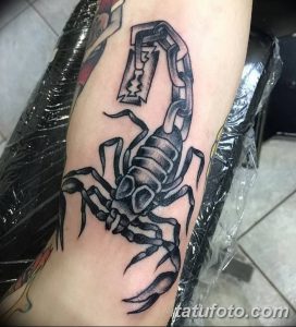 фото тату скорпион от 24.04.2018 №039 - tattoo scorpion - tatufoto.com