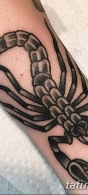 фото тату скорпион от 24.04.2018 №040 — tattoo scorpion — tatufoto.com