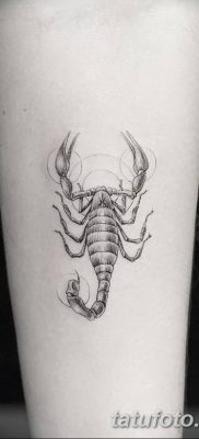 фото тату скорпион от 24.04.2018 №041 — tattoo scorpion — tatufoto.com