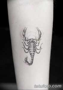фото тату скорпион от 24.04.2018 №041 - tattoo scorpion - tatufoto.com