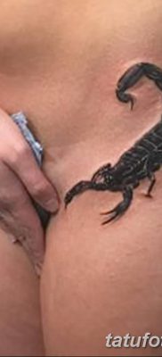 фото тату скорпион от 24.04.2018 №042 — tattoo scorpion — tatufoto.com