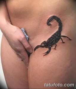фото тату скорпион от 24.04.2018 №042 - tattoo scorpion - tatufoto.com
