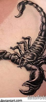 фото тату скорпион от 24.04.2018 №043 — tattoo scorpion — tatufoto.com