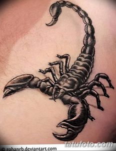 фото тату скорпион от 24.04.2018 №043 - tattoo scorpion - tatufoto.com