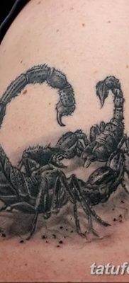 фото тату скорпион от 24.04.2018 №044 — tattoo scorpion — tatufoto.com