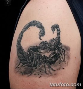 фото тату скорпион от 24.04.2018 №044 - tattoo scorpion - tatufoto.com