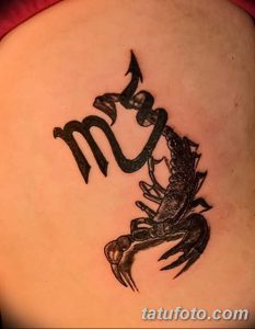 фото тату скорпион от 24.04.2018 №046 - tattoo scorpion - tatufoto.com