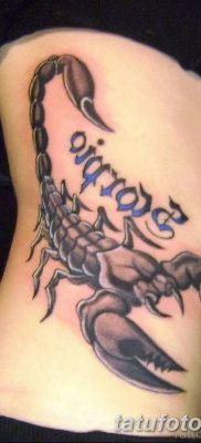 фото тату скорпион от 24.04.2018 №047 — tattoo scorpion — tatufoto.com
