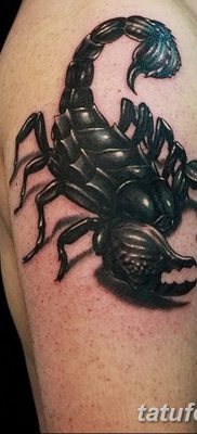 фото тату скорпион от 24.04.2018 №048 — tattoo scorpion — tatufoto.com