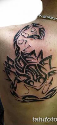 фото тату скорпион от 24.04.2018 №049 — tattoo scorpion — tatufoto.com