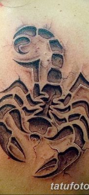 фото тату скорпион от 24.04.2018 №051 — tattoo scorpion — tatufoto.com