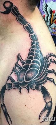 фото тату скорпион от 24.04.2018 №054 — tattoo scorpion — tatufoto.com