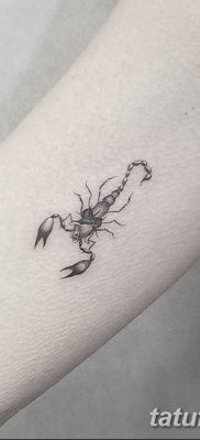 фото тату скорпион от 24.04.2018 №056 — tattoo scorpion — tatufoto.com