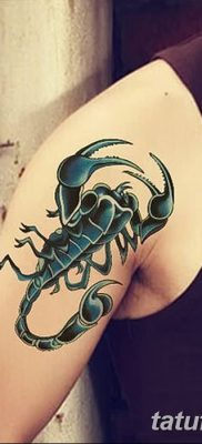 фото тату скорпион от 24.04.2018 №059 — tattoo scorpion — tatufoto.com