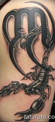 фото тату скорпион от 24.04.2018 №060 — tattoo scorpion — tatufoto.com