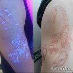фото ультрафиолетовые тату от 21.04.2018 №143 - ultraviolet tattoo - tatufoto.com
