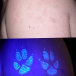 фото ультрафиолетовые тату от 21.04.2018 №146 - ultraviolet tattoo - tatufoto.com