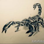 фото эскиз тату скорпион от 24.04.2018 №001 - sketch of a scorpion tattoo - tatufoto.com 36345