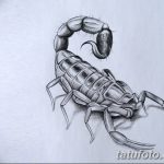 фото эскиз тату скорпион от 24.04.2018 №003 - sketch of a scorpion tattoo - tatufoto.com