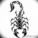 фото эскиз тату скорпион от 24.04.2018 №004 - sketch of a scorpion tattoo - tatufoto.com