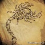 фото эскиз тату скорпион от 24.04.2018 №008 - sketch of a scorpion tattoo - tatufoto.com