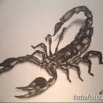 фото эскиз тату скорпион от 24.04.2018 №011 - sketch of a scorpion tattoo - tatufoto.com