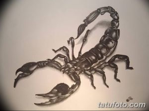 Черно-серый рисунок татуировки скорпиона, выполненный в реалистичном стиле с использованием штриховки и теней. Создает ощущение живого существа.
