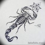 фото эскиз тату скорпион от 24.04.2018 №012 - sketch of a scorpion tattoo - tatufoto.com
