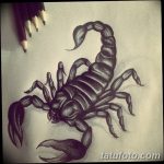 фото эскиз тату скорпион от 24.04.2018 №013 - sketch of a scorpion tattoo - tatufoto.com
