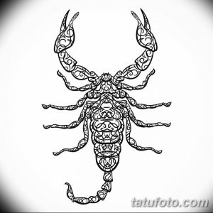 Черно-белый эскиз татуировки скорпиона, выполненный в сложном орнаментальном стиле с множеством деталей и завитушек. Идеально для любителей этнических мотивов.