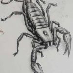 фото эскиз тату скорпион от 24.04.2018 №021 - sketch of a scorpion tattoo - tatufoto.com