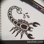 фото эскиз тату скорпион от 24.04.2018 №026 - sketch of a scorpion tattoo - tatufoto.com