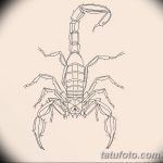 фото эскиз тату скорпион от 24.04.2018 №027 - sketch of a scorpion tattoo - tatufoto.com