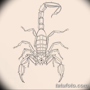Минималистичный эскиз татуировки скорпиона, выполненный только контурными линиями. Подходит для первого тату или для тех, кто предпочитает лаконичные рисунки.
