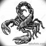 фото эскиз тату скорпион от 24.04.2018 №028 - sketch of a scorpion tattoo - tatufoto.com