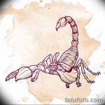 фото эскиз тату скорпион от 24.04.2018 №028 - sketch of a scorpion tattoo - tatufoto.com 3634