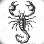 фото эскиз тату скорпион от 24.04.2018 №028 - sketch of a scorpion tattoo - tatufoto.com 3634 36