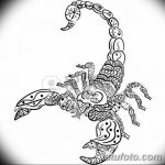 фото эскиз тату скорпион от 24.04.2018 №032 - sketch of a scorpion tattoo - tatufoto.com