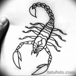 фото эскиз тату скорпион от 24.04.2018 №034 - sketch of a scorpion tattoo - tatufoto.com