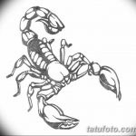 фото эскиз тату скорпион от 24.04.2018 №035 - sketch of a scorpion tattoo - tatufoto.com