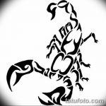 фото эскиз тату скорпион от 24.04.2018 №036 - sketch of a scorpion tattoo - tatufoto.com