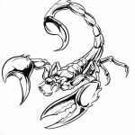 фото эскиз тату скорпион от 24.04.2018 №037 - sketch of a scorpion tattoo - tatufoto.com