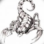 фото эскиз тату скорпион от 24.04.2018 №040 - sketch of a scorpion tattoo - tatufoto.com