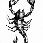 фото эскиз тату скорпион от 24.04.2018 №042 - sketch of a scorpion tattoo - tatufoto.com