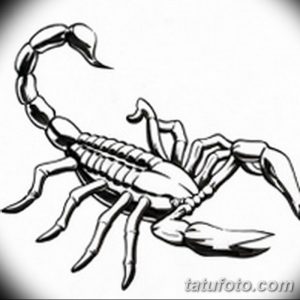 Детальный черно-белый эскиз татуировки скорпиона, выполненный в классическом стиле с прорисовкой всех деталей тела.